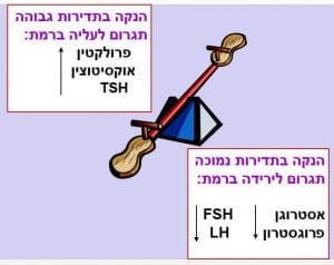 נדנדת ההורמונים בזמן הנקה