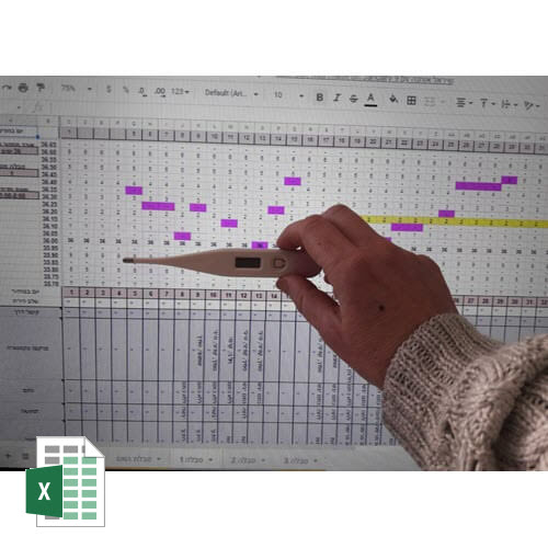טבלאות שמ”פ להורדה באקסל- לתיעוד ומעקב אחר סימני פוריות | FAM Charts For Tracking and Monitoring Your Cycle in Microsoft Excel
