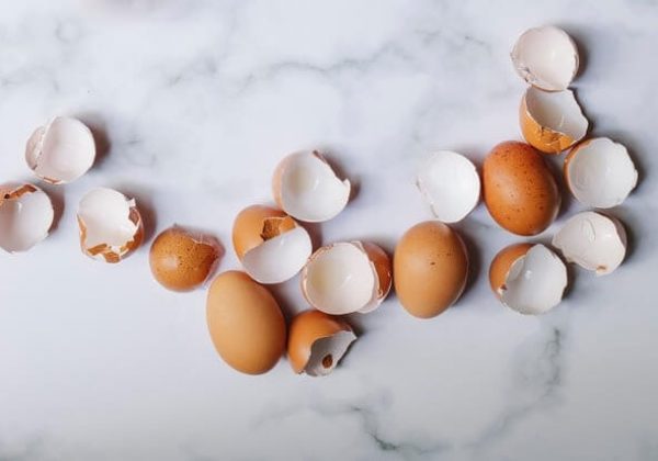 הולכות על ביצים: הרהורים על בעיות פוריות, פריבילגיה גברית וחוסר איזון מגדרי